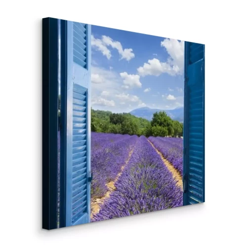 Bild Blick durch blaue Fensterläden auf ein Lavendelfeld
