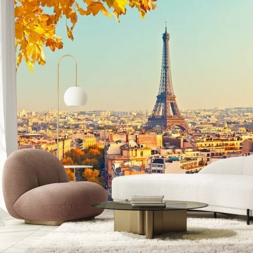 Fototapete View on Eiffel tower at sunset