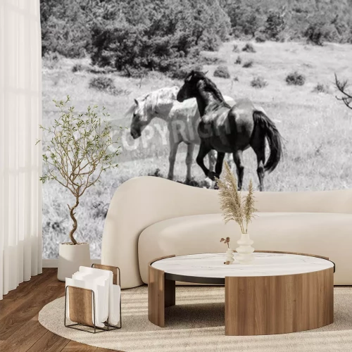 Fototapete Monochromatische darstellung von pferden