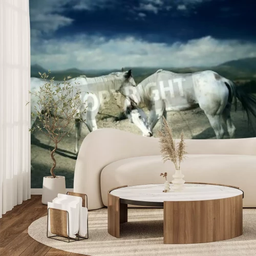 Fototapete Weiße pferde auf sandstraße
