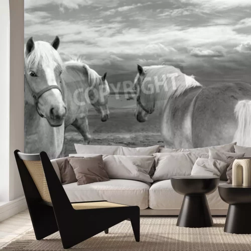 Fototapete Pferde in den wolken