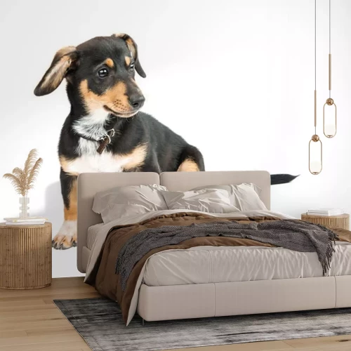 Sticker Hunde Welpe mit langem geradem Schwanz