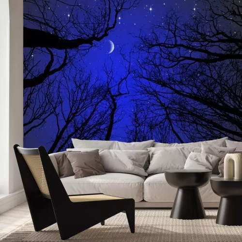 Sticker Mond und Sterne inmitten von Baumkronen