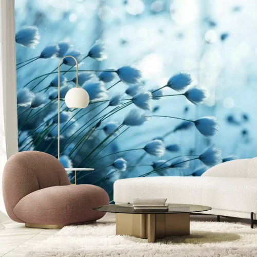 Fototapete Blaue Baumwollpflanze