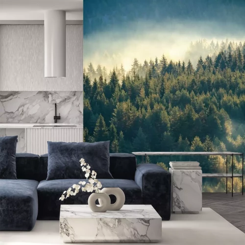 Fototapete Nebelumhüllte kiefern