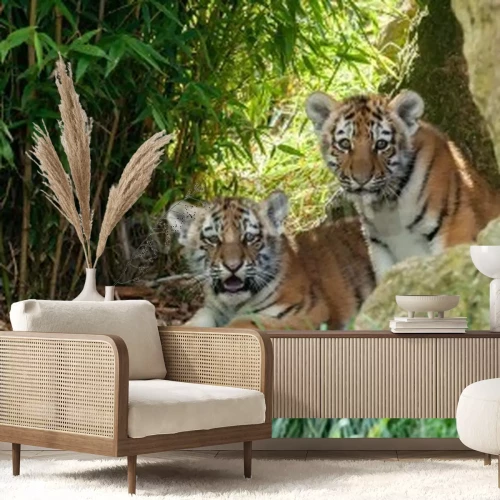 Fototapete Zwei tiger in einer höhle