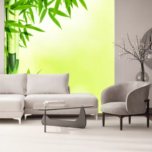 Fototapete Bambus auf grünem Hintergrund