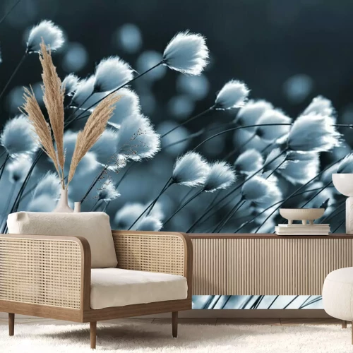 Fototapete Dekoratives Gras im Wind