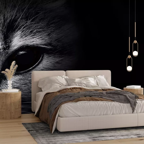 Sticker Katzen Porträt der Katze mit schwarzem Auge dunkle Farben