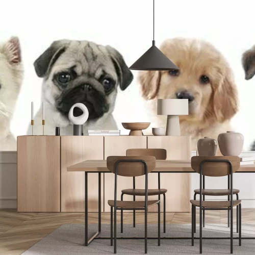 Sticker Welpen verschiedener Rassen