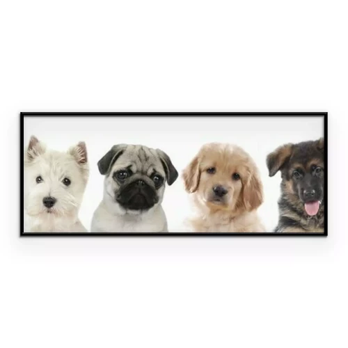 Poster Welpen verschiedener Rassen