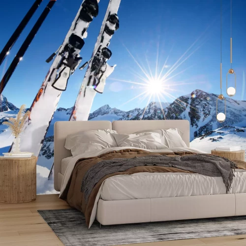 Sticker Skiausrüstung in hohen Bergen im Schnee im Winter