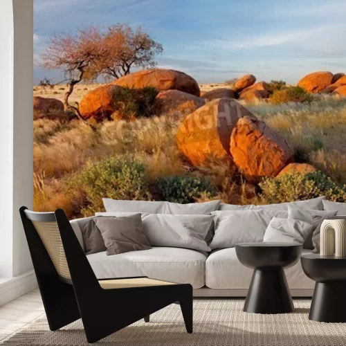 Fototapete Wüstensteine und Pflanzen