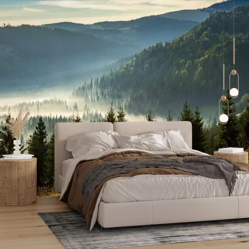 Fototapete Nadelwald in den Bergen in Nebel gehüllt