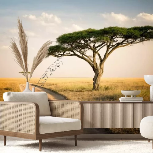 Fototapete Afrikanische Landschaft Tansanias Wildtiere und Savanne