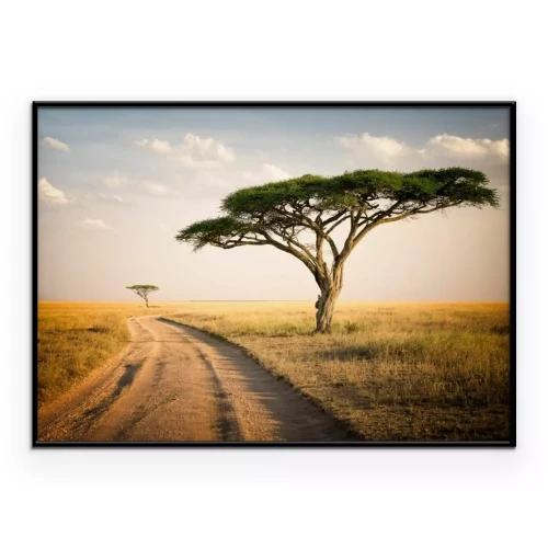 Poster Afrikanische Landschaft Tansanias Wildtiere und Savanne