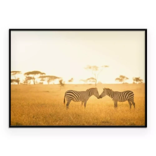 Poster Zebra-Liebe in der Serengeti