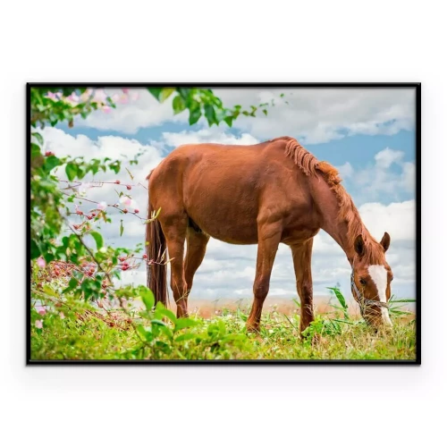 Poster Ein kastanienbraunes Pferd grast auf einer Wiese