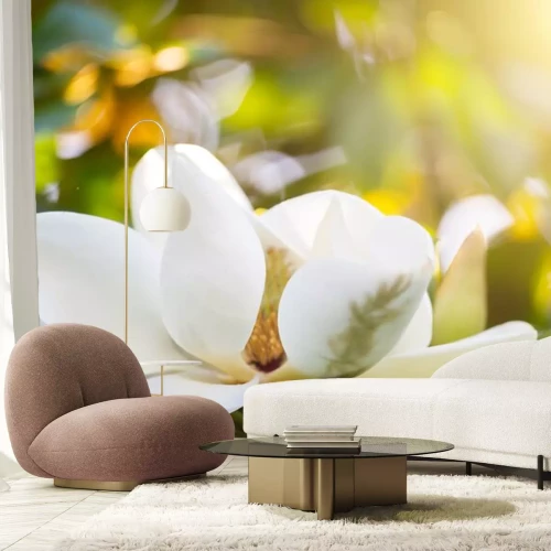 Sticker Nahaufnahme einer blühenden Magnolie