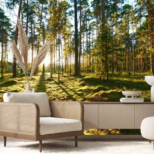 Fototapete Wald aus Froschperspektive