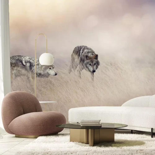 Fototapete Zwei Wölfe im hohen Gras