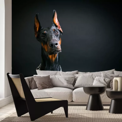 Sticker Hunde schwarzer Dobermann in silberner Kette