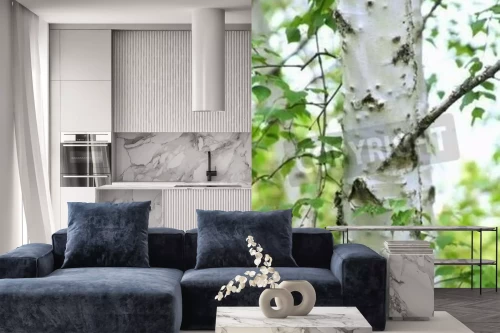 Visualisierung des Produkts