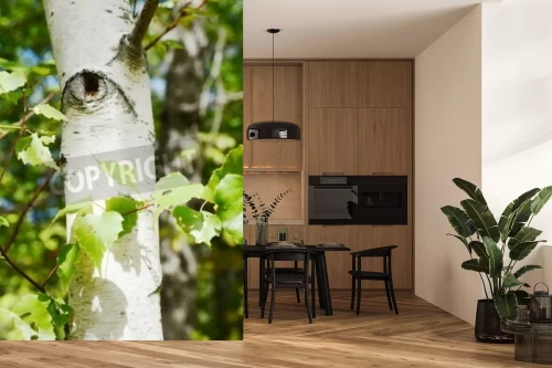 Visualisierung des Produkts