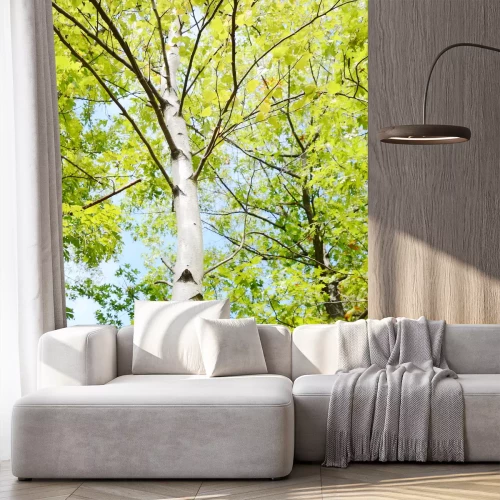 Fototapete Große Birke