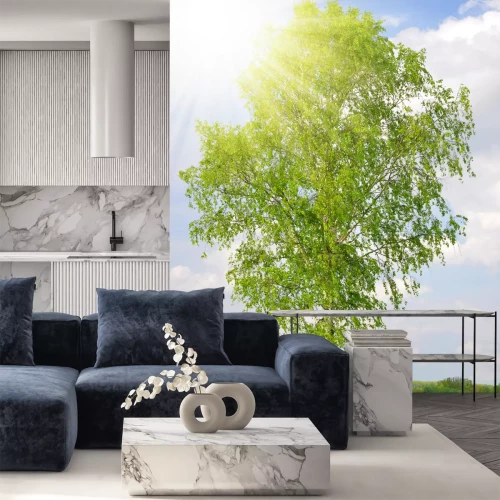 Fototapete 3D Birke in der Sonne