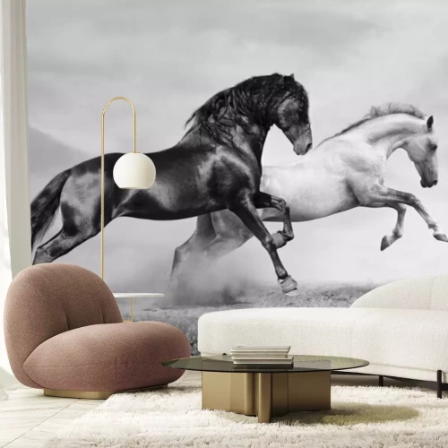 Fototapete Pferde in schwarz-weiß