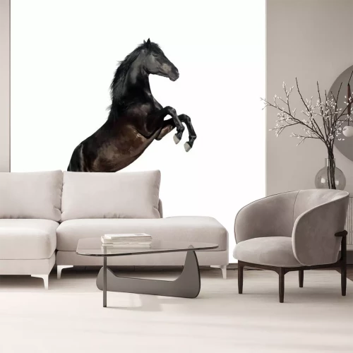 Sticker Pferd zu isolieren