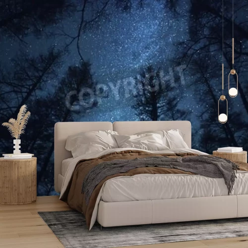 Fototapete Wunderschöner Nachthimmel