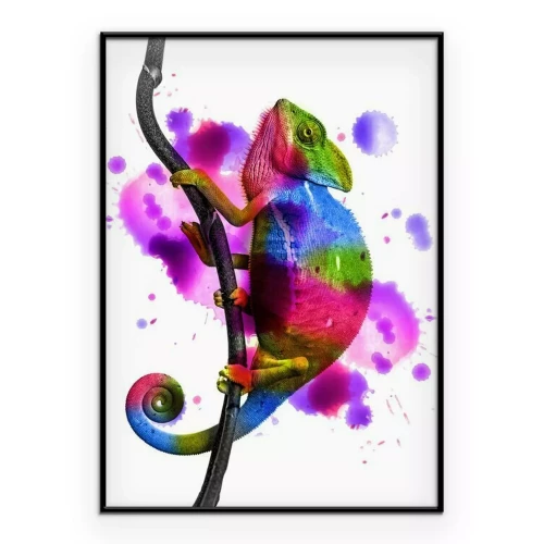 Poster Chamäleon- und Farbspritzergrafiken