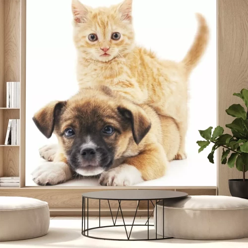 Sticker Katze klettert auf einen Welpen