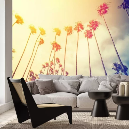 Fototapete Retro stilisierte Palmen bei Sonnenuntergang, Santa Monica, USA.