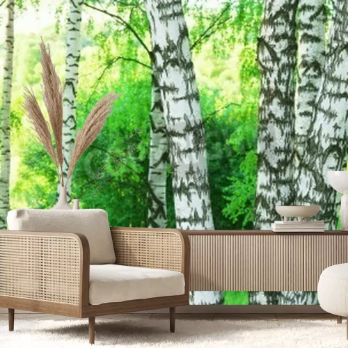 Fototapete Birken im Wald am Morgen