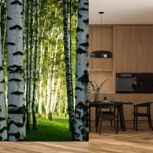 Fototapete Birkenwald schwarz-weiße in Nahaufnahme