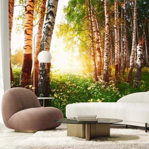 Fototapete Birken und Blumen