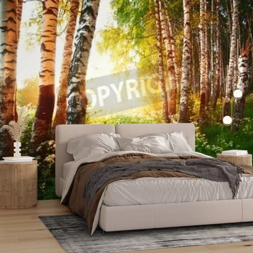 Fototapete Birken und Blumen