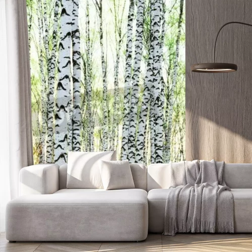 Fototapete Birken bei Sonnenaufgang