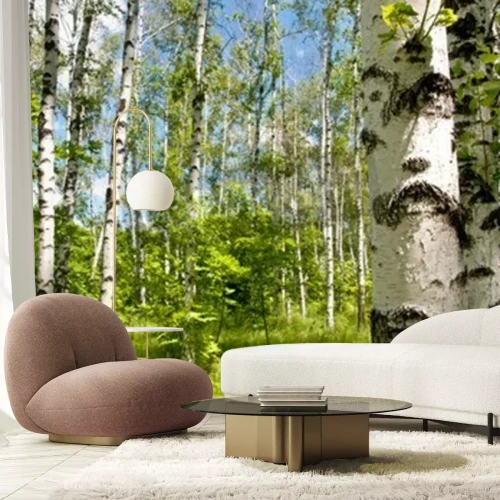 Fototapete 3D Birken und grünes Gras