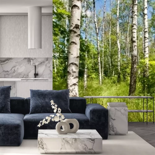 Fototapete Birken und wilde Vegetation