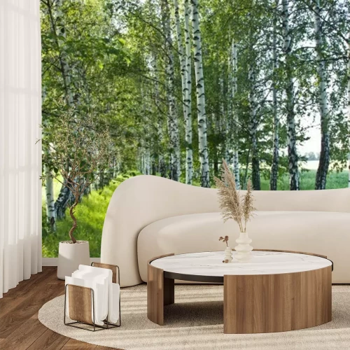 Fototapete Frühlingsbirken