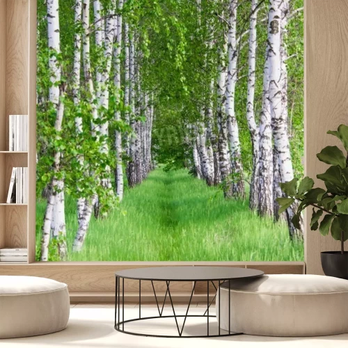 Fototapete Blühende Birken