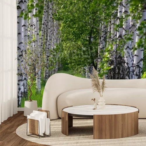 Fototapete Gras zwischen Birken