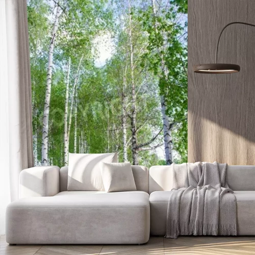 Fototapete Birken auf der Lichtung