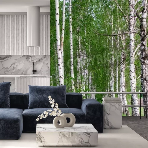 Fototapete Pfad durch Birken