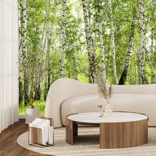 Fototapete 3D Birken im Wald