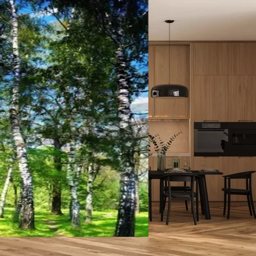 Fototapete Hohe Birken